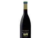 Viñaredo Sousón 2009