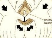 Cómo realizar masaje perineal