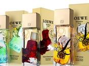 años perfumándonos Loewe
