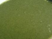 Crema verde