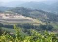 Coto gomariz