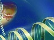 ¿Qué hace humanos? Proyecto ENCODE