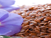 Receta Linaza para adelgazar