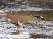 Programa "Playas desperdicio"