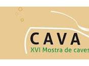 muestra cavas gastronomia (cavatast 2012)