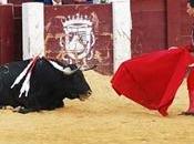 Términos taurinos (ilustrados). Enrique Martín