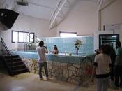 Manifiesto Sensitive Comunidad Ausonia