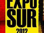 Exposur 2012 proyecto chile home