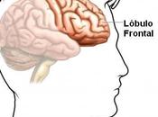 adultos mayores suelen fáciles engañar