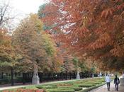 Otoño Madrid Autumn