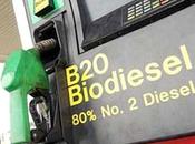 Andalucía primera capacidad producción biocarburantes