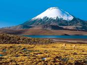 Microbios Atacama como ejemplo vida marciana