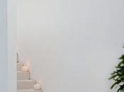 Exuberancia tropical