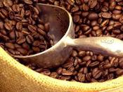 ¿Cómo mide calidad café?