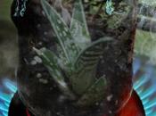 Fuego tierra, aire, agua: #Reto Elementos