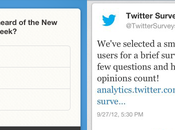 Twitter permitirá avisadores realizar encuestas directamente timeline