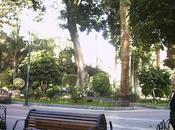 Aguilas