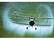 desencaminado: pesticidas TDAH