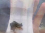 Besando propio príncipe...