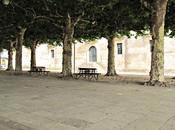 Follaje bancos vacíos (casi siempre)