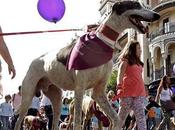 galgos pasean centro Sevilla contra maltrato animal