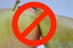 Botella prohíbe circulación vehículos híbridos para “mezclar peras manzanas”