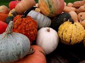 ¡Los mercados granja!