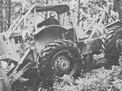 Fototeca forestal
