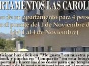 ¡Vámonos puente gratis!