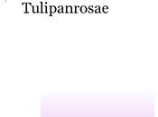 novela, Tulipanrosae