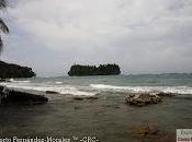 Punta Mona Talamanca