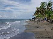 Manzanillo Limón