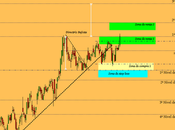 Técnicas Reunidas anima