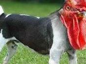 ave? Noooo avión? Nooooo