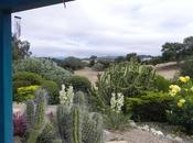 Jardines rústicos