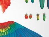 Clausura exposición arte ilustrar aves' atractivos eventos