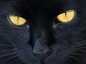 Wicca, Paganismo, Gatos negros Halloween