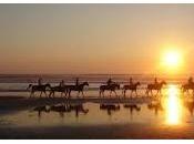 ¡¡Montar caballo playa!!