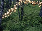 Mira esto: lámparas vintage naturaleza