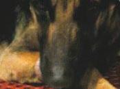 Kitt, perrito tirado acequia. Ladridos Vagabundos, (Granada).