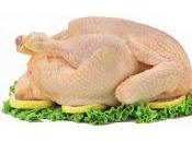 Beneficios Carnes Blancas