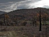 Naturaleza muerta... fuego