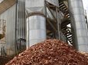 Andalucía lidera sector biomasa eléctrica