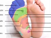 Mapa para reflexología podal