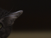 Minimalismo ahora serio