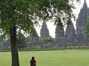 VIDA ROSA Laura Tejo