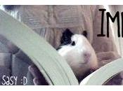 (30) Vlog (16): ¡malditos editores!