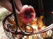 Delicatessen