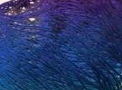 corazón computacional VIDEO