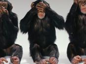 ¿Pueden monos aprender leer?
